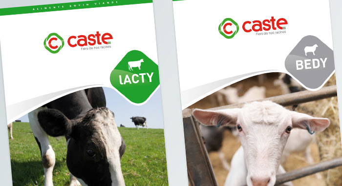 brochure-charte-graphique