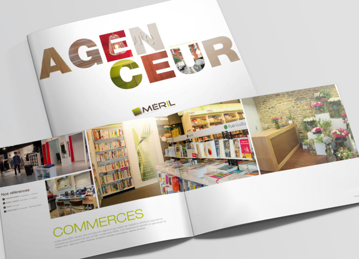 charte-graphique-declinaison