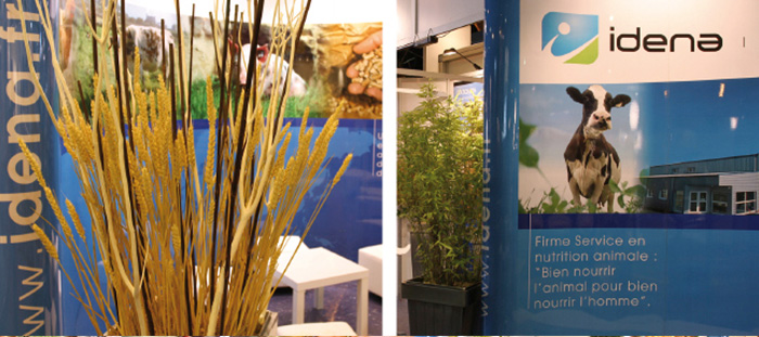 stand-professionnel-idena