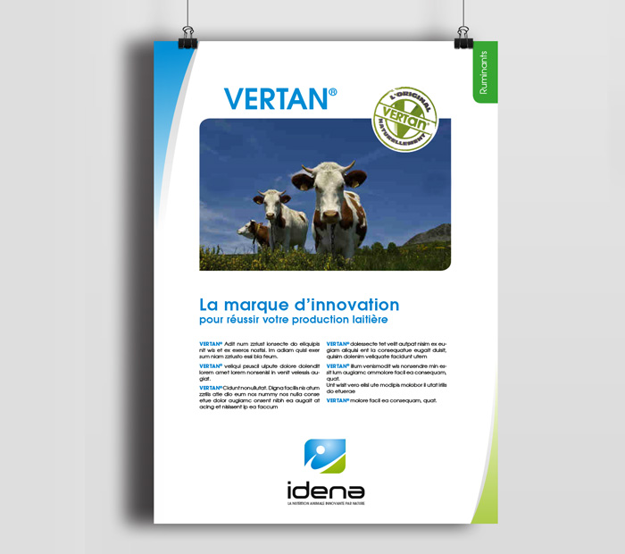 charte-graphique-declinaison