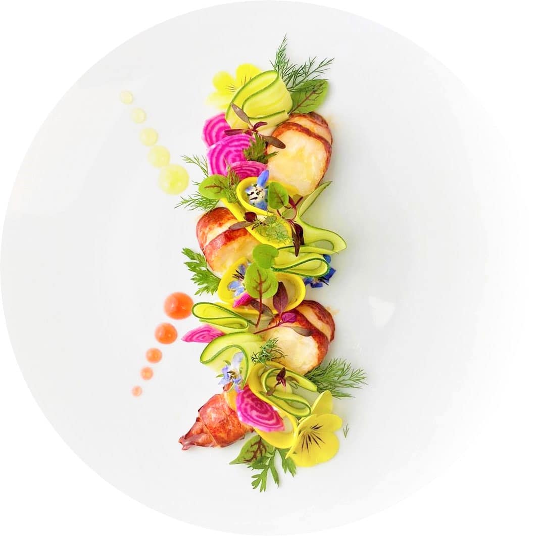 lcdd-photo-traiteur-composition-assiette composition culinaire du Carré des Délices