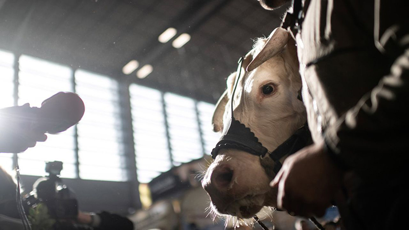 image de marque entreprise agricole