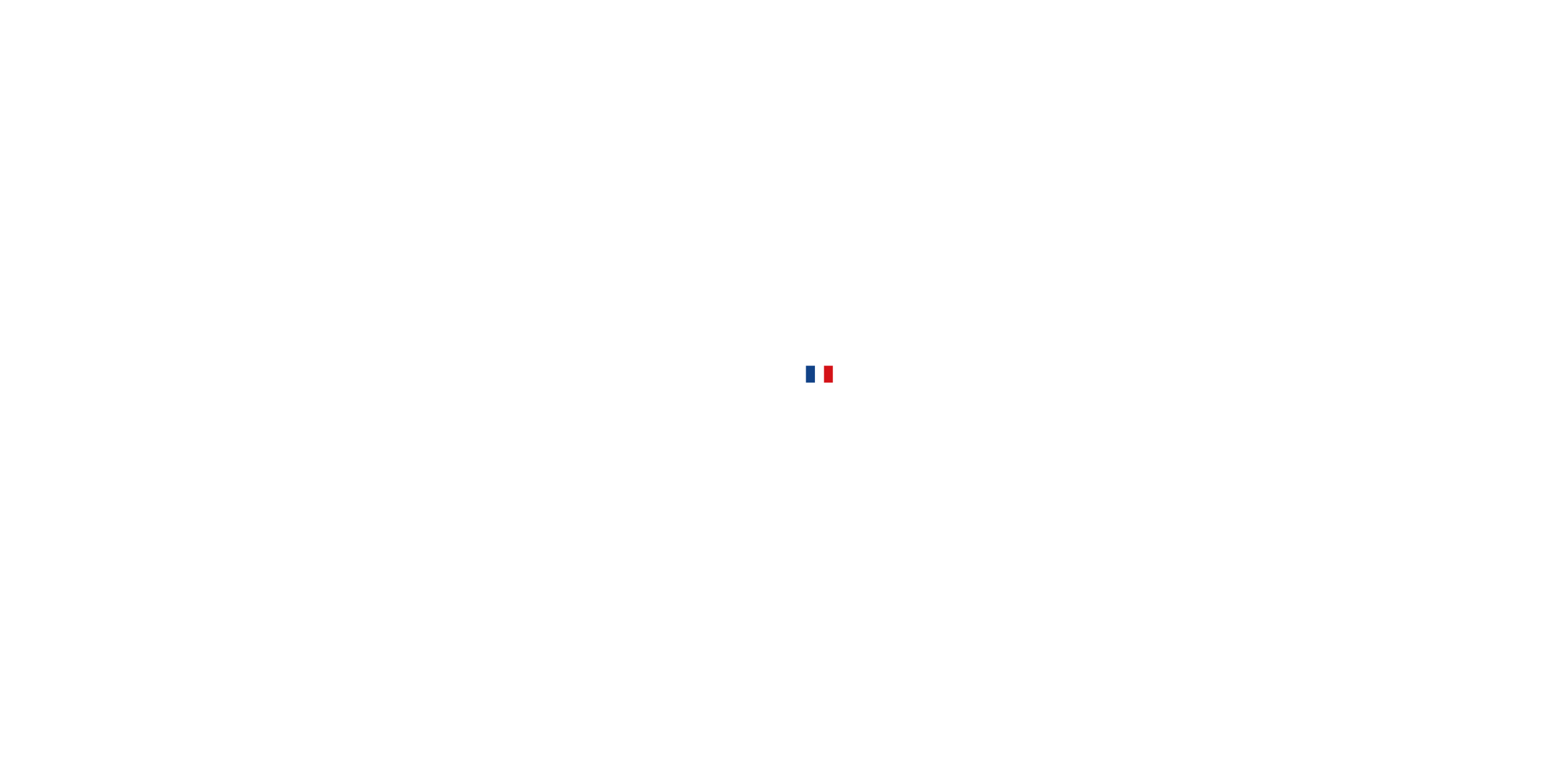 guilberteau-bandeau-logo-blanc-france logo Guilberteau blanc avec le drapeau France